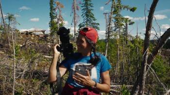 Screenshot 2 from Forest for the Trees (Full Movie)