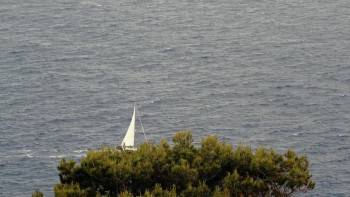 Screenshot 3 from Formentor, el mar de las palabras (Full Movie)