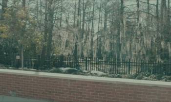 Screenshot 2 from Fraternal (Full Movie)