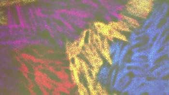 Screenshot 1 from Freddie (Full Movie)
