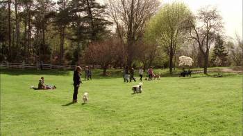 Screenshot 1 from Frenemies (Full Movie)