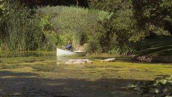 Screenshot 1 from Freshwater (Full Movie)