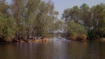 Screenshot 2 from From Roger Moore with Love (Full Movie)