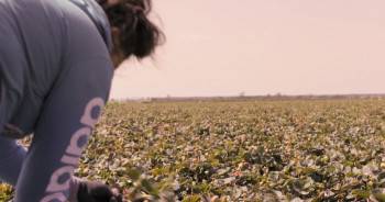 Screenshot 2 from Fruits of Labor (Full Movie)