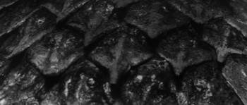Screenshot 3 from Gammera the Invincible (Full Movie)