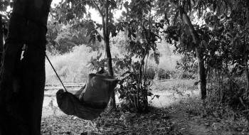 Screenshot 1 from Genus Pan (Full Movie)