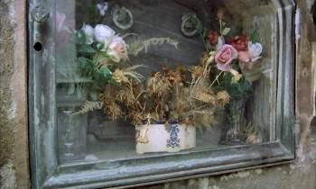 Screenshot 2 from Girl with the Golden Panties (Full Movie)