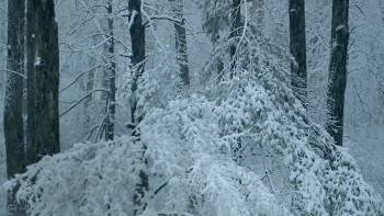 Screenshot 3 from God Knows Where I Am (Full Movie)