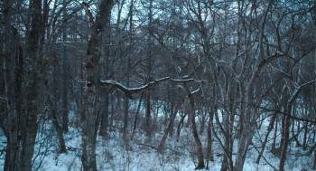 Screenshot 1 from Golden Kamuy (Full Movie)