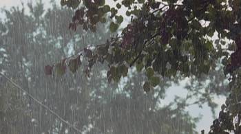 Screenshot 3 from Gooby (Full Movie)