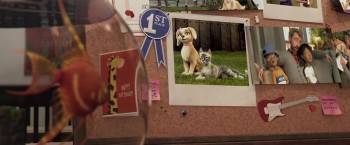 Screenshot 1 from Gracie and Pedro: Pets to the Rescue (Full Movie)