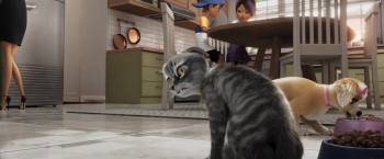 Screenshot 2 from Gracie and Pedro: Pets to the Rescue (Full Movie)