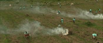 Screenshot 3 from Green Bones (Full Movie)