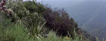 Screenshot 1 from Green Fire (Full Movie)