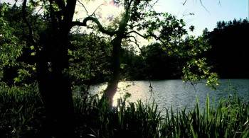 Screenshot 1 from Greener Mountains (Full Movie)