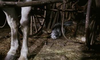 Screenshot 1 from Greyfriars Bobby: The True Story of a Dog (Full Movie)