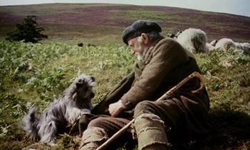 Screenshot 3 from Greyfriars Bobby: The True Story of a Dog (Full Movie)