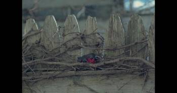 Screenshot 1 from Grieve (Full Movie)