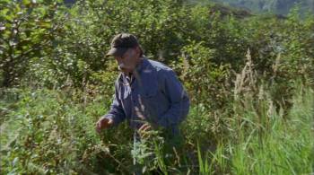Screenshot 1 from Grizzly Man (Full Movie)