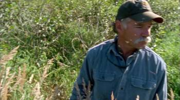 Screenshot 2 from Grizzly Man (Full Movie)