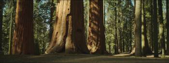 Screenshot 2 from Grunt (Full Movie)