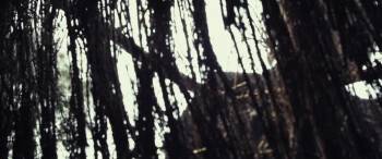 Screenshot 3 from Guardian of the Ancient Shadow Crown (Full Movie)