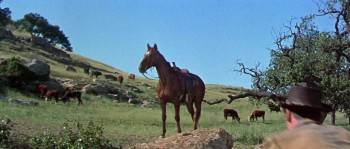 Screenshot 2 from Gun for a Coward (Full Movie)