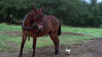 Screenshot 1 from Gus (Full Movie)
