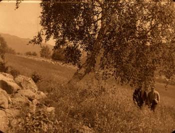 Screenshot 1 from Gypsy Anne (Full Movie)