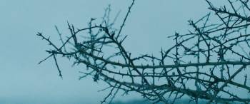 Screenshot 1 from Hagen (Full Movie)