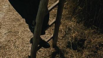 Screenshot 2 from Halima's Path (Full Movie)