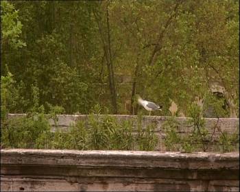 Screenshot 1 from Hannibal (Full Movie)