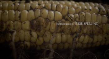 Screenshot 1 from Happer's Comet (Full Movie)
