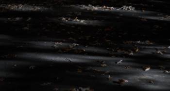 Screenshot 2 from Happer's Comet (Full Movie)