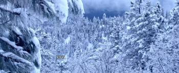 Screenshot 1 from Harbinger Down (Full Movie)