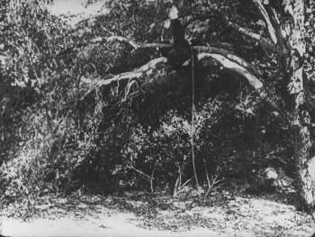 Screenshot 1 from Hard Luck (Full Movie)