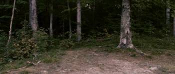 Screenshot 1 from Harvest Lake (Full Movie)