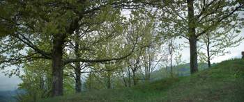 Screenshot 1 from Hasadék (Full Movie)