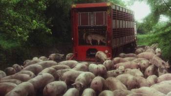 Screenshot 1 from Hector (Full Movie)
