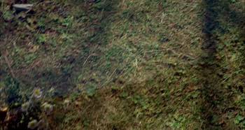 Screenshot 2 from Heidi (Full Movie)