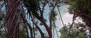 Screenshot 1 from Hell in the Pacific (Full Movie)