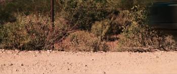 Screenshot 3 from Hellhounds (Full Movie)