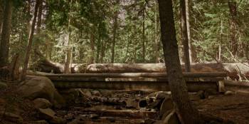Screenshot 2 from Hello from Nowhere (Full Movie)