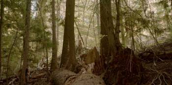 Screenshot 3 from Hello from Nowhere (Full Movie)