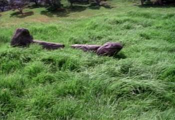 Screenshot 1 from Hercules and the Lost Kingdom (Full Movie)