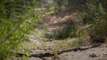 Screenshot 1 from Hidden in Plain Sight (Full Movie)