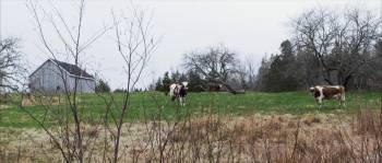 Screenshot 1 from Hillock Haunting (Full Movie)