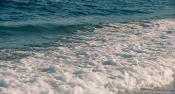 Screenshot 1 from Holiday (Full Movie)