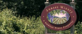 Screenshot 1 from Holiday in the Vineyards (Full Movie)