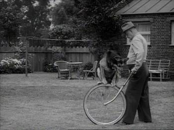 Screenshot 1 from Hollywood Scout (Full Movie)